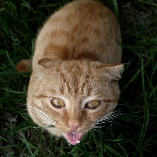 Sticker мои и ваши - 10