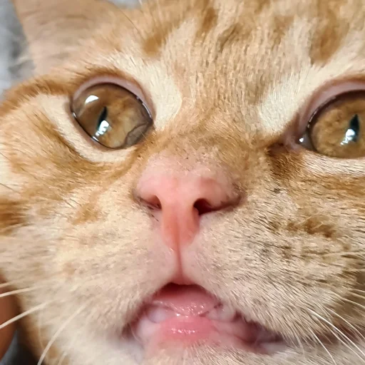 Sticker мои и ваши - 9