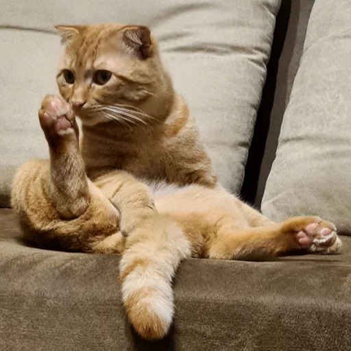 Sticker мои и ваши - 8