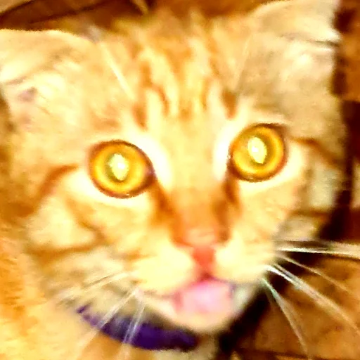 Sticker мои и ваши - 7