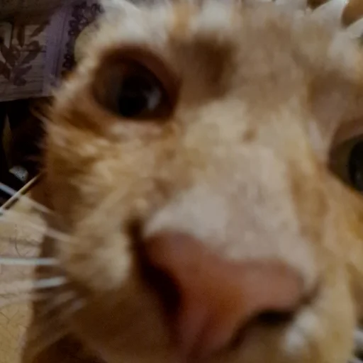 Sticker мои и ваши - 6