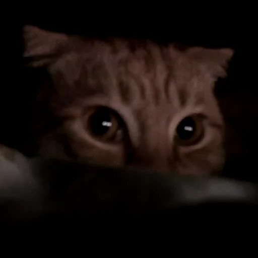 Sticker мои и ваши - 5