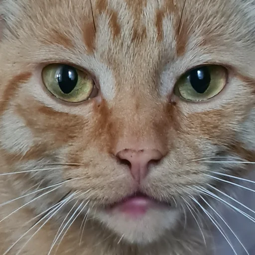 Sticker мои и ваши - 4