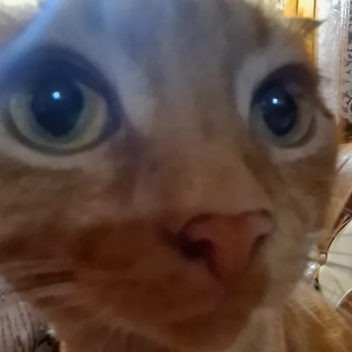 Sticker мои и ваши - 3