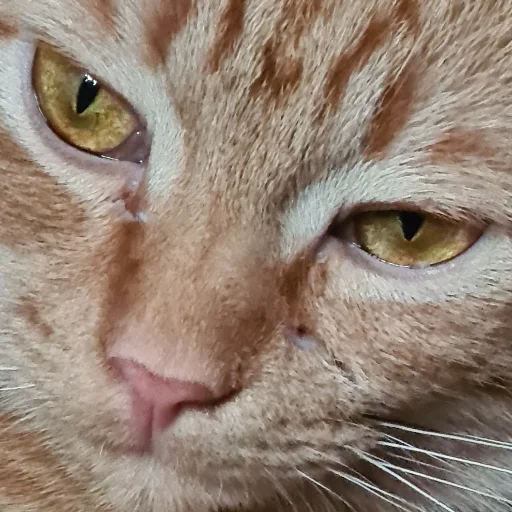 Sticker мои и ваши - 2