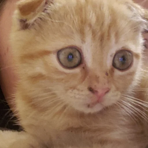 Sticker мои и ваши - 1