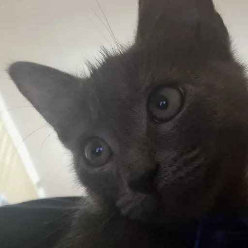 Sticker мои и ваши - 0