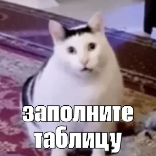 Sticker kot_sogl - 5