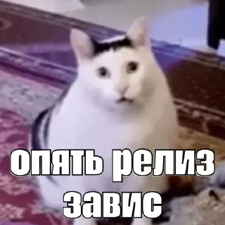 Sticker kot_sogl - 6