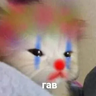 Стикер котаны - 0