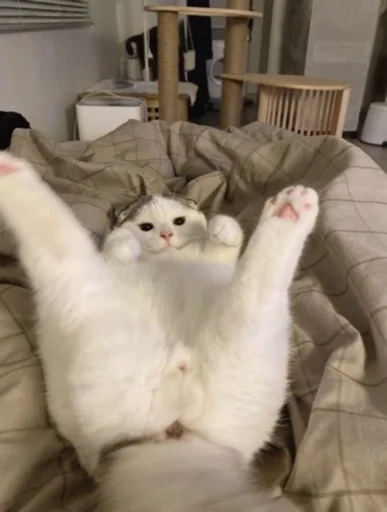 Sticker ｡•♡kxtz♡•｡ - 11