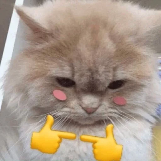 Sticker ｡•♡kxtz♡•｡ - 5