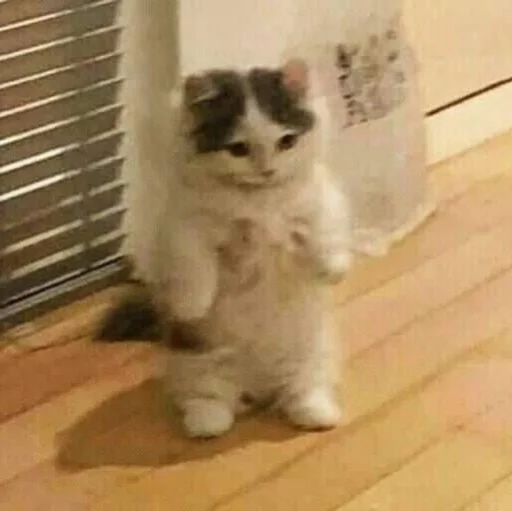 Sticker ｡•♡kxtz♡•｡ - 2