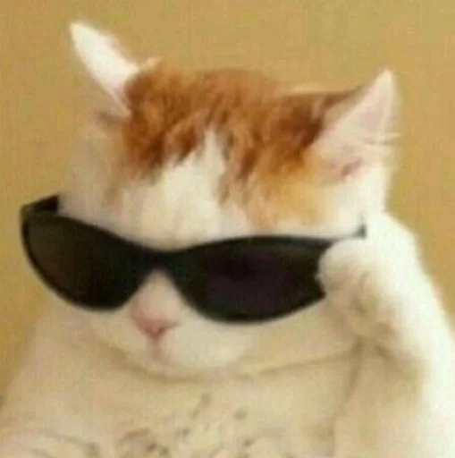 Sticker ｡•♡kxtz♡•｡ - 0