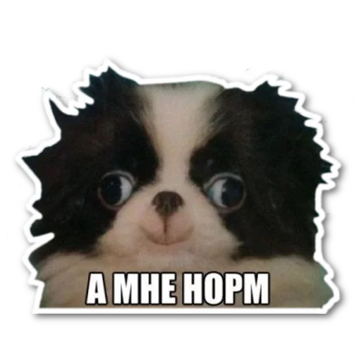 Sticker котэпак - 7