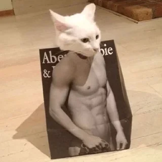 Sticker Котейки @anime4_arts - 10