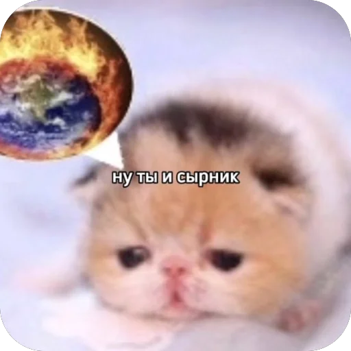 Sticker koteki33332 - 1