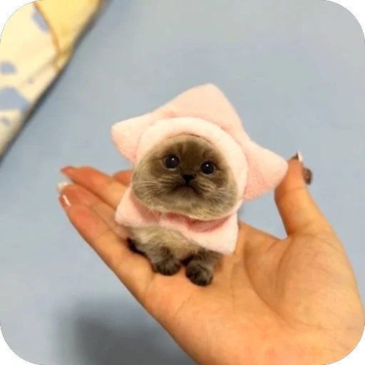 Стикер koteki33332 - 1