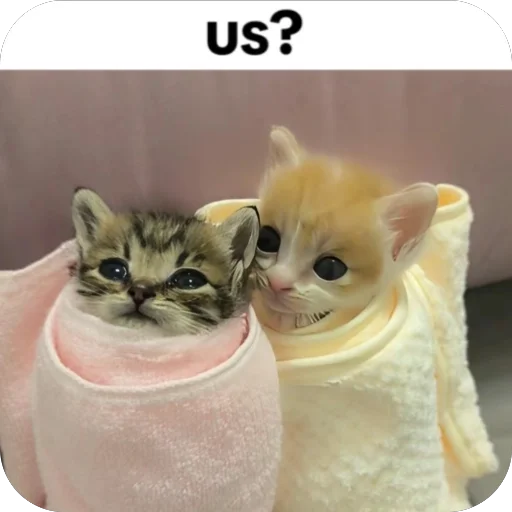 Sticker koteki33332 - 1