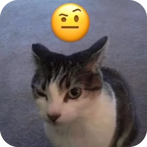 Sticker koteki33332 - 1