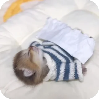 Sticker котеки:3333 - 8