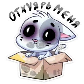 Стикер @iameball <> @channelretardsкотеки <> @spaisrum котеки - 1