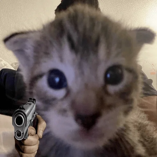 Sticker катенок - 9