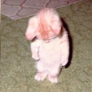 Sticker котеночки - 0