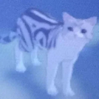 Sticker kotenokpak - 11