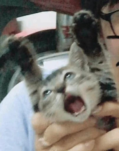 Sticker koteykimrrr2 - 1