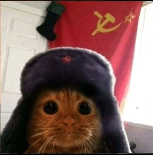 Sticker koteykimrrr2 - 1