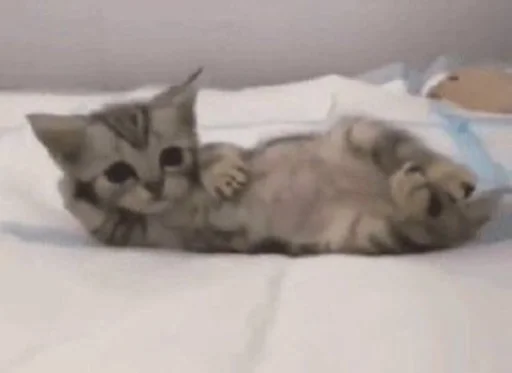 Sticker koteykimrrr2 - 1