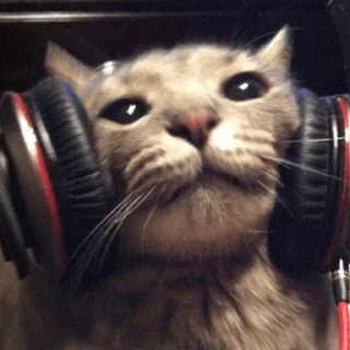 Sticker котики х2 @zauxsa @emojis4 - 5