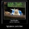 Котфихдев - cartoon