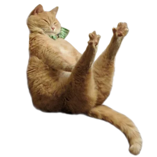 Стикер koti_moti - 1