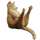 Стикер котеки - 4