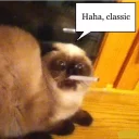 Стикер котеки - 1