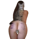 Стикер котеки - 9