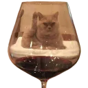 Стикер котеки - 11