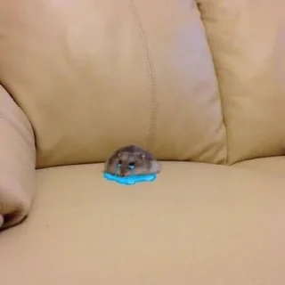 Стикер ✨💓uwu💓✨ - 11