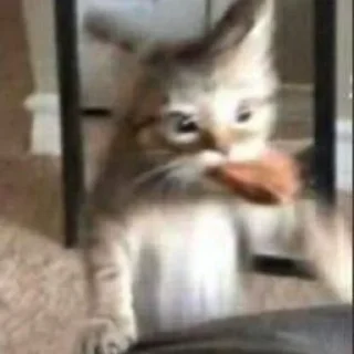 Стикер ✨💓uwu💓✨ - 2