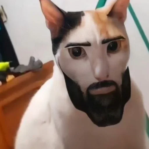 Стикер koticperdit - 1