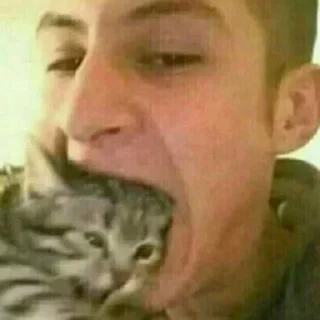 Sticker котенок пердит и дрищет - 1