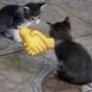 Sticker котенок пердит и дрищет - 9