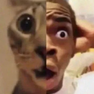 Sticker котенок пердит и дрищет - 7