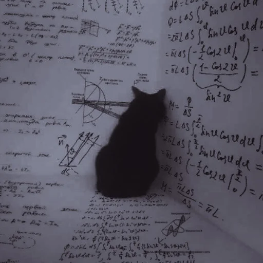 Стикер ˚₊‧ᝰᴄᴀᴛsᝰ‧₊˚ - 8