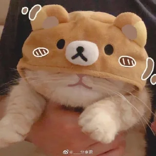 Sticker kotiki @trushka0_0 - 3