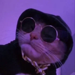 Sticker kotiki @trushka0_0 - 5