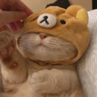 Sticker kotiki @trushka0_0 - 4