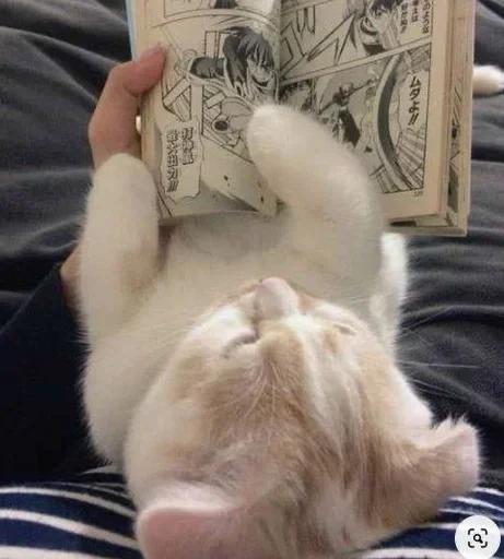 Стикер стики тут👉 @aesthetic2k17 - 10